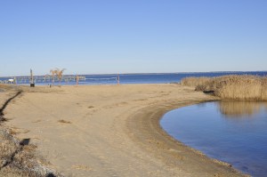 Scene, Beach, Water, Sandy beach area with volleyball net and pier over the River.