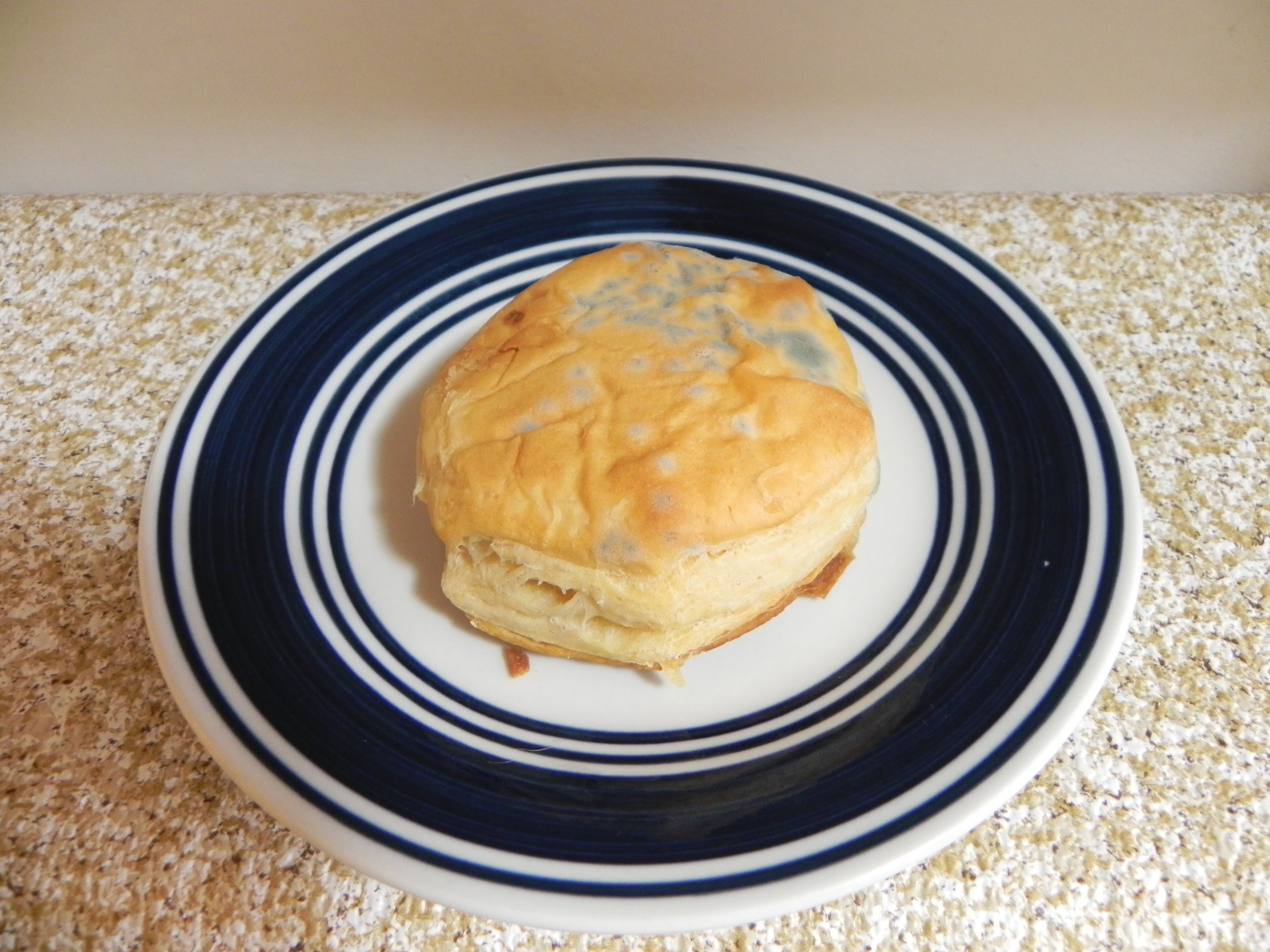 Object, plate, mold, biscuit