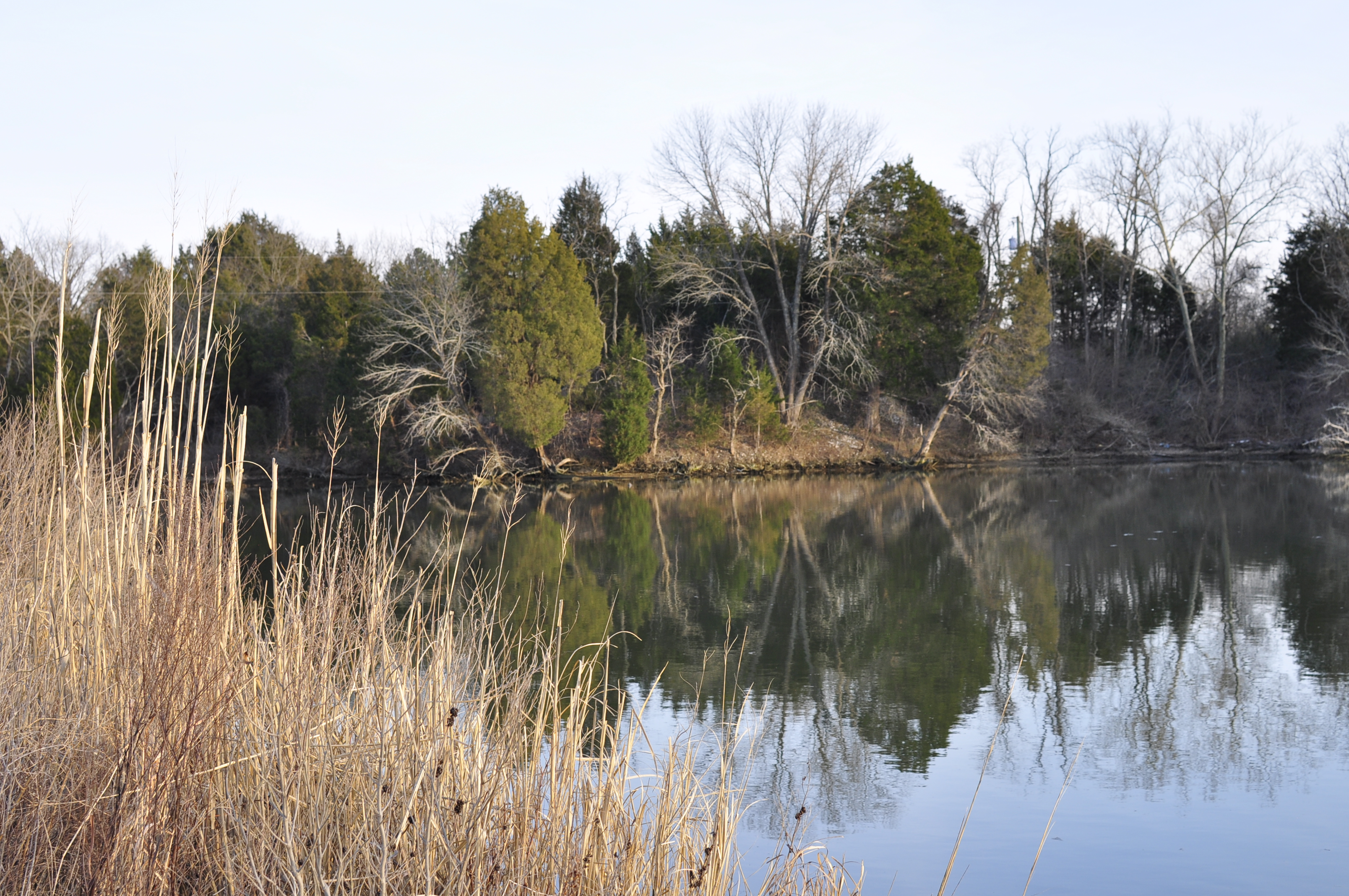 Scene - Images can help shape the future of AI.